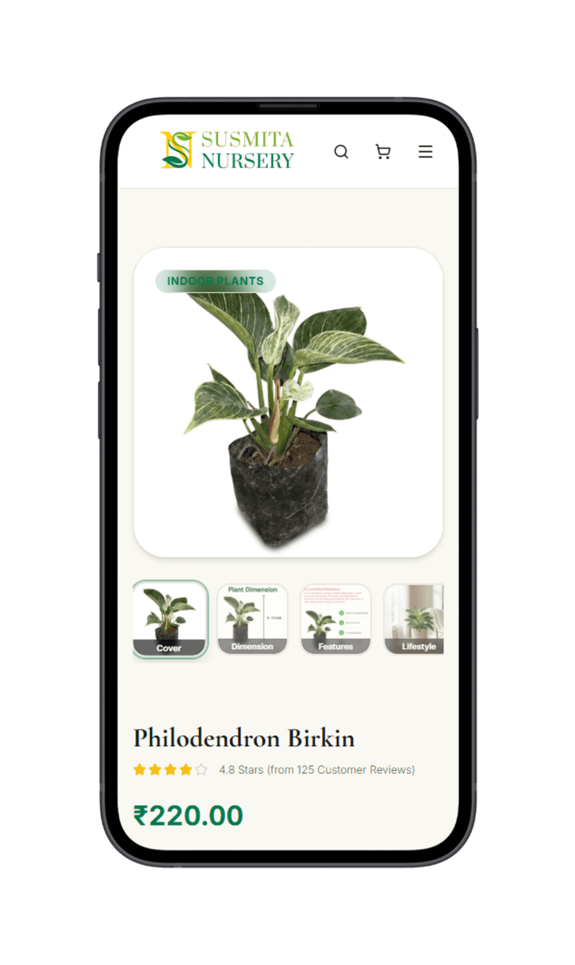 Mobile mockup 1